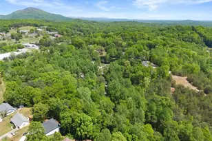 162 Greenview Ct, Cleveland, GA 30528 - Photo 40