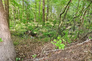 1632 Paces Vale Ct, Lawrenceville, GA 30043 - Photo 42