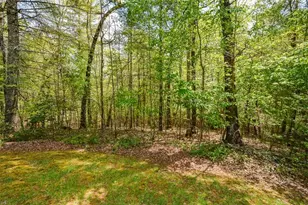 303 Pine Ln, Mineral Bluff, GA 30559 - Photo 58