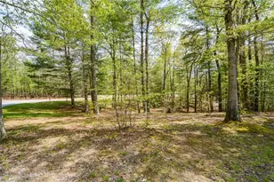 303 Pine Ln, Mineral Bluff, GA 30559 - Photo 4