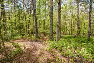 303 Pine Ln, Mineral Bluff, GA 30559 - Photo 56
