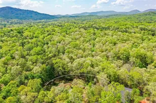 303 Pine Ln, Mineral Bluff, GA 30559 - Photo 64