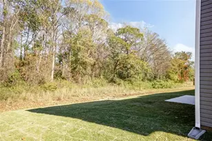 233 Thunder Valley, Dawsonville, GA 30534 - Photo 22