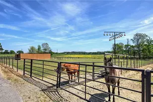 486 County Line Rd, Resaca, GA 30735 - Photo 2
