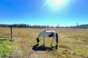 486 County Line Rd, Resaca, GA 30735 - Photo 18