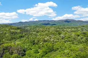 532 Cohutta Mountain Road, Blue Ridge, GA 30513 - Photo 26