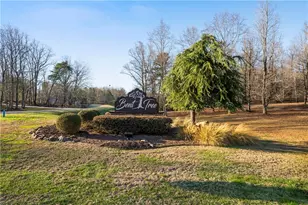 507 Big Stump Mountain Trail, Jasper, GA 30143 - Photo 28
