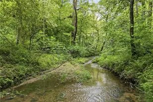 67 Ballard Ln, Ellijay, GA 30536 - Photo 54
