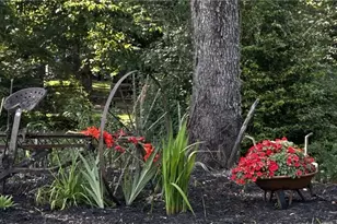 7079 Upper Hightower Rd, Hiawassee, GA 30546 - Photo 74