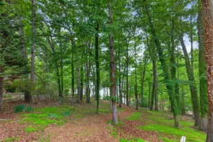 2686 Tammi Ln, Gainesville, GA 30506 - Photo 36