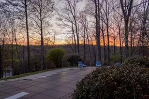 141 Chambers Mountain, Mineral Bluff, GA 30559 - Photo 24