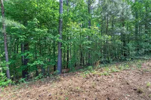 60 Amberlily Ct, Dallas, GA 30132 - Photo 62