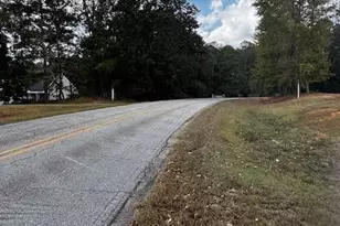 230 Dodgen Rd, Hampton, GA 30228 - Photo 8