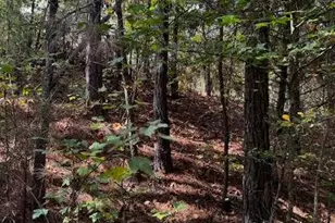 230 Dodgen Rd, Hampton, GA 30228 - Photo 4