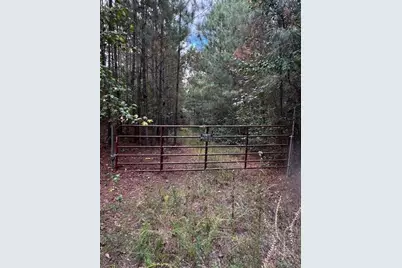 230 Dodgen Road, Hampton, GA 30228 - Photo 6