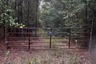 230 Dodgen Rd, Hampton, GA 30228 - Photo 6