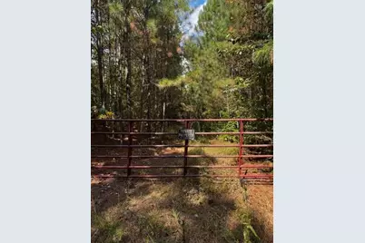 230 Dodgen Road, Hampton, GA 30228 - Photo 2