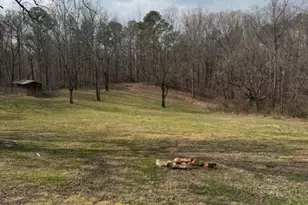 3228 Hwy 53 E, Jasper, GA 30143 - Photo 10