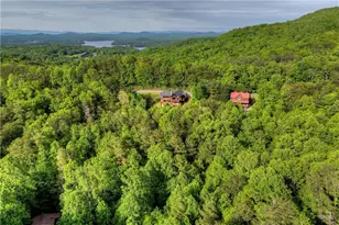 3804 Aska Rd, Blue Ridge, GA 30513 - Photo 58