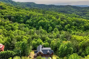 3804 Aska Rd, Blue Ridge, GA 30513 - Photo 56