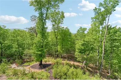 252 Wild Turkey Bluff, Big Canoe, GA 30143 - Photo 64