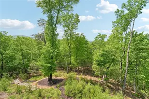 252 Wild Turkey Bluff, Big Canoe, GA 30143 - Photo 64