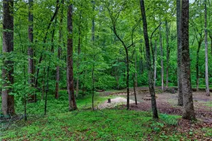 142 Bent Ridge Dr S, Dawsonville, GA 30534 - Photo 46