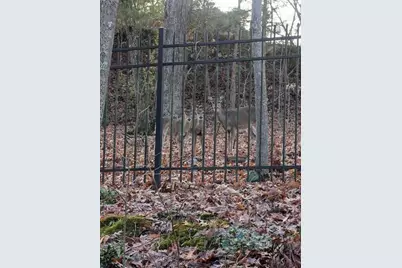 7250 Timber Trail, Cumming, GA 30041 - Photo 66