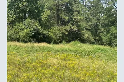 0 Attaway Road-9.22, Bowdon, GA 30108 - Photo 4