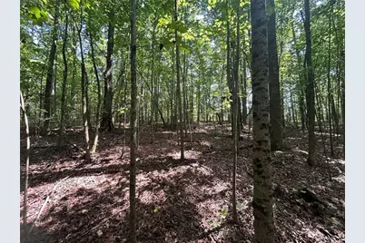 0 Attaway Road-9.22, Bowdon, GA 30108 - Photo 16