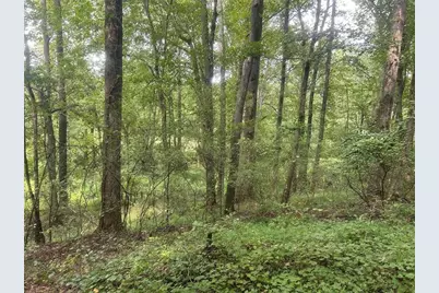 0 Attaway Road-9.22, Bowdon, GA 30108 - Photo 24