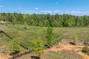 228 Grey Squirrel Point, Talking Rock, GA 30175 - Photo 76