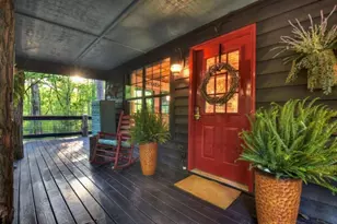 329 Robinson Thomas Rd, Morganton, GA 30560 - Photo 8