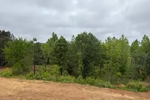 1020 Reagan Dr, Madison, GA 30650 - Photo 30