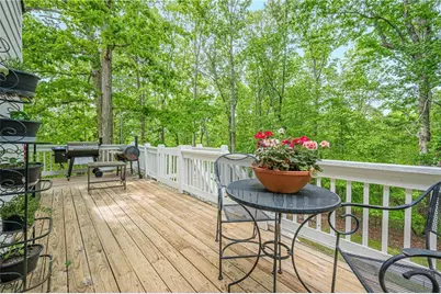 202 Windy Ridge Court, Dawsonville, GA 30534 - Photo 74