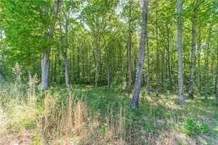 2124 Stonegate Way, Monroe, GA 30656 - Photo 44