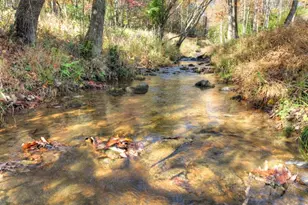 89 High Meadows Ct, Morganton, GA 30560 - Photo 48