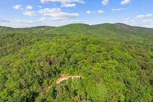 18787 E 136 Hwy, Sugar Valley, GA 30746 - Photo 38