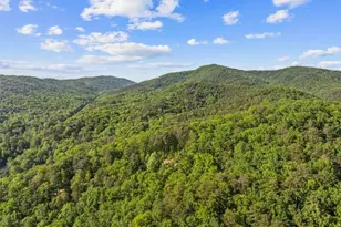 18787 E 136 Hwy, Sugar Valley, GA 30746 - Photo 46
