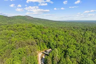 18787 E 136 Hwy, Sugar Valley, GA 30746 - Photo 40