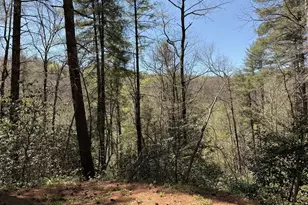 306 Jacks River Rd, Epworth, GA 30541 - Photo 12