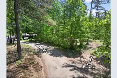 0 Zoe Murphy Road, Dawsonville, GA 30534 - Photo 10
