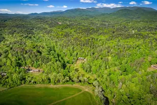 460 Wikle Dr, Ellijay, GA 30540 - Photo 82