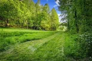 460 Wikle Dr, Ellijay, GA 30540 - Photo 74