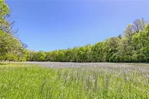1103 Apple Pie Ridge Rd, Alto, GA 30510 - Photo 134