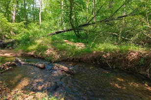 392 London Rd, Ball Ground, GA 30107 - Photo 40