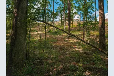 392 London Road, Ball Ground, GA 30107 - Photo 44