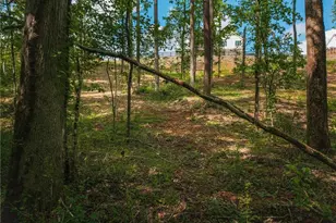 392 London Rd, Ball Ground, GA 30107 - Photo 44