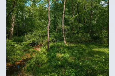 392 London Road, Ball Ground, GA 30107 - Photo 42