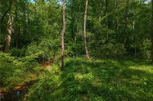 392 London Rd, Ball Ground, GA 30107 - Photo 42